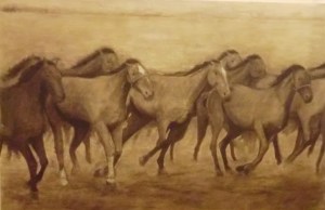 Cavalli - misure 139x90